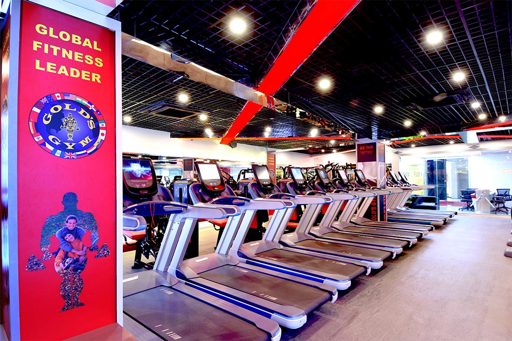 Golds Gym Model Colony Gym Equipment Fitness Equipment Get Home